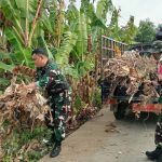 Screenshot_20250808-110251