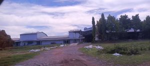 IMG_20251029_124615_159