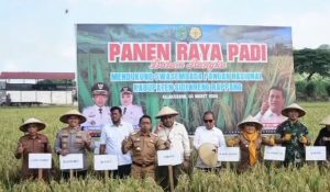 Screenshot_20251106-123325