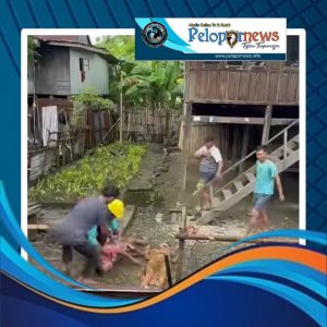 SGN_12_22_2025_1766409222603