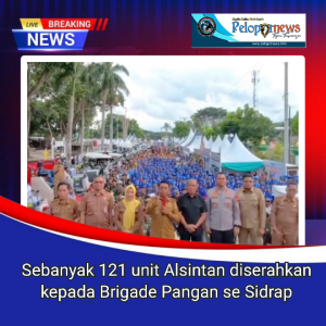 SGN_12_29_2025_1767018363036