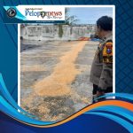 SGN_01_25_2026_1769332784980