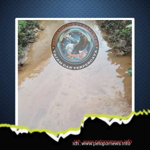 SGN_03_10_2026_1773105238761