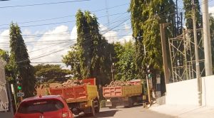 Screenshot_20260417-164106