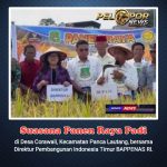 Panen Raya di Corawali, Bersama BAPPENAS RI: Wujud Sinergi Perkuat Ketahanan Pangan Sidrap   