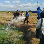 Gerak Cepat Bupati Sidrap Turunkan Armada Bantu Sawah Kekeringan, Syaharuddin Alrif: Petani Tidak Boleh Berjuang Sendiri Screenshot_20260719-161342