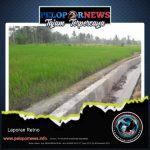 Program Hippa Desa Bungur kecamatan Sukomoro. Terealisasi Dengan baik .
