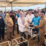Kemarau Tak Halangi Panen, Wagub Sulsel: Sidrap Luar Biasa, Listrik Masuk Sawah Jadi Solusi Screenshot_20260818-123425