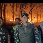 Dandim 1420 Sidrap Turun Langsung Padamkan Kebakaran Lahan di Mattirotasi