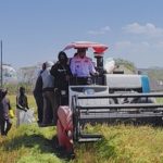 Panen di Tengah Kemarau , Abd Rasyid Petani Arawa Dapat hingga 9 Ton ,Bupati Sidrap Apresiasi 