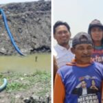 Bupati Sidrap Tinjau Saluran Air Danau Sidenreng  di Tellu Limpoe, Selamatkan Padi Warga Sekitar 400 Hektar 